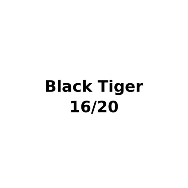 Black Tiger 16/20