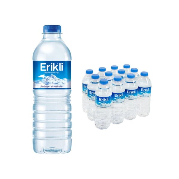 Eriki Quellwasser 500ml