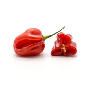 Habanero Chili