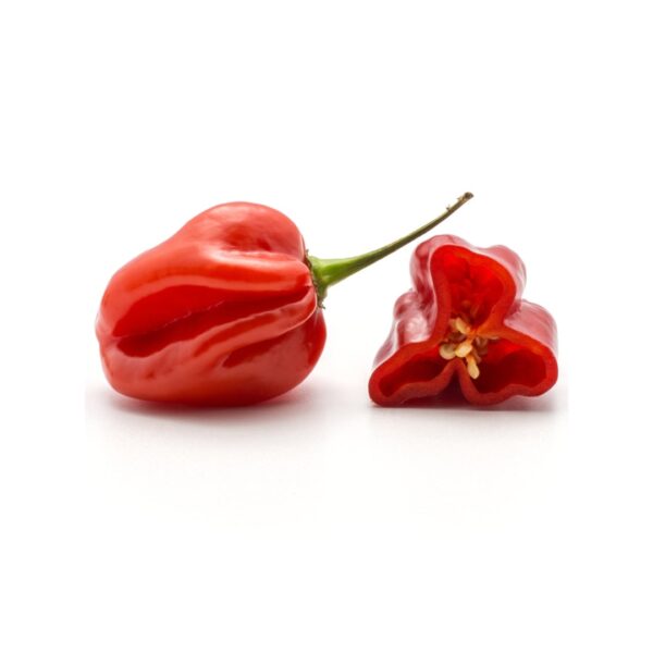Habanero Chili
