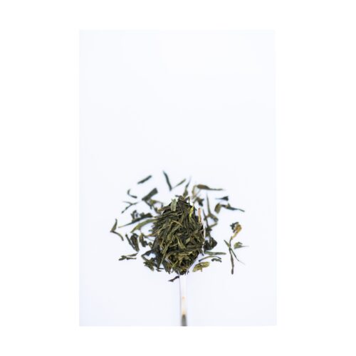 JAPANESE-SENCHA-TEE Japanese Sencha Tee