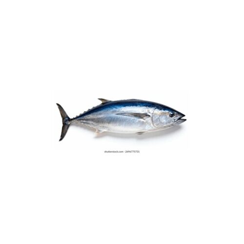 TUNFISCH-FRESH-SCHARF Tunfisch Fresh Scharf